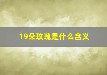 19朵玫瑰是什么含义