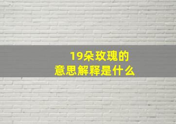 19朵玫瑰的意思解释是什么