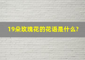 19朵玫瑰花的花语是什么?