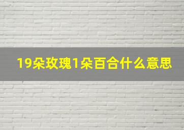 19朵玫瑰1朵百合什么意思