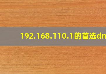 192.168.110.1的首选dns