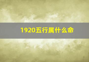 1920五行属什么命