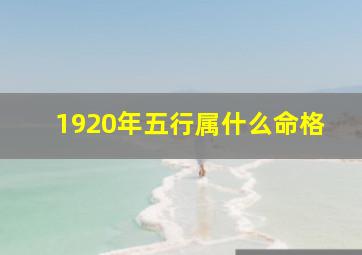 1920年五行属什么命格