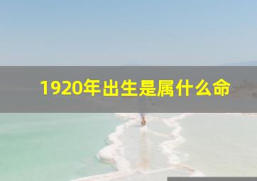 1920年出生是属什么命