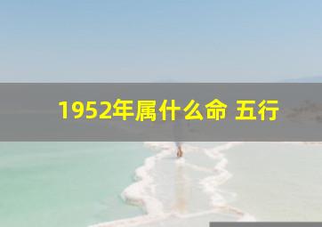 1952年属什么命 五行