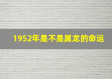 1952年是不是属龙的命运