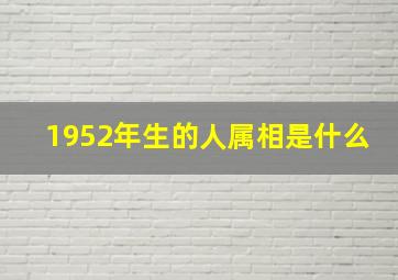 1952年生的人属相是什么