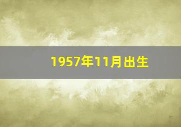 1957年11月出生