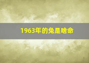 1963年的兔是啥命