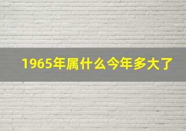 1965年属什么今年多大了