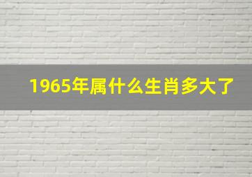 1965年属什么生肖多大了