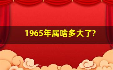 1965年属啥多大了?