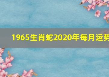 1965生肖蛇2020年每月运势