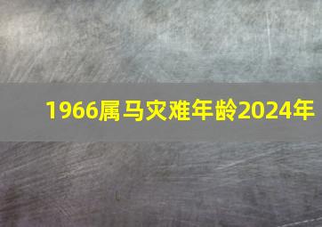 1966属马灾难年龄2024年