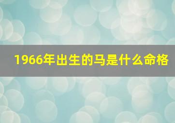 1966年出生的马是什么命格