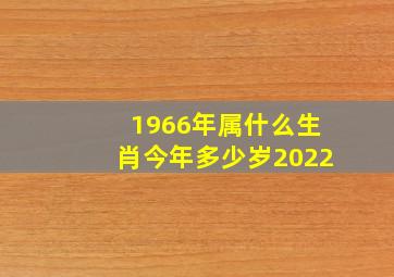 1966年属什么生肖今年多少岁2022