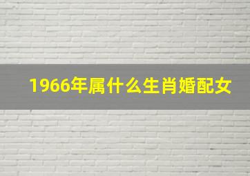 1966年属什么生肖婚配女