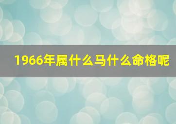 1966年属什么马什么命格呢