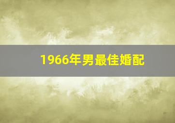 1966年男最佳婚配