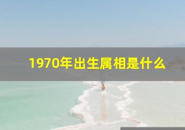 1970年出生属相是什么