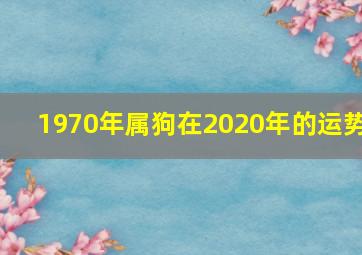 1970年属狗在2020年的运势