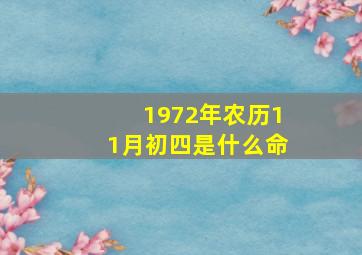 1972年农历11月初四是什么命