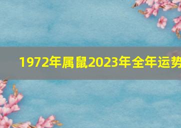 1972年属鼠2023年全年运势