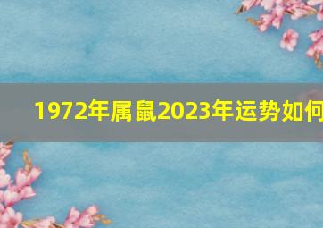 1972年属鼠2023年运势如何