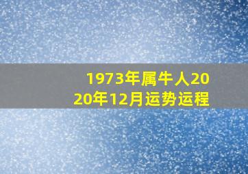 1973年属牛人2020年12月运势运程