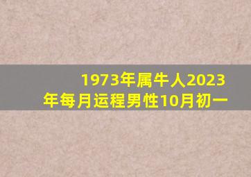 1973年属牛人2023年每月运程男性10月初一