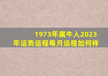 1973年属牛人2023年运势运程每月运程如何样