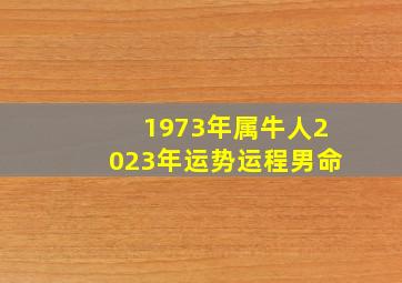 1973年属牛人2023年运势运程男命