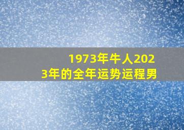 1973年牛人2023年的全年运势运程男