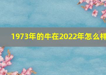 1973年的牛在2022年怎么样