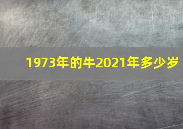 1973年的牛2021年多少岁