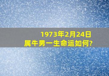 1973年2月24日属牛男一生命运如何?