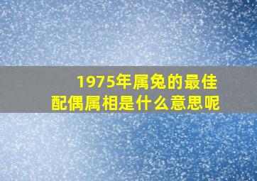 1975年属兔的最佳配偶属相是什么意思呢