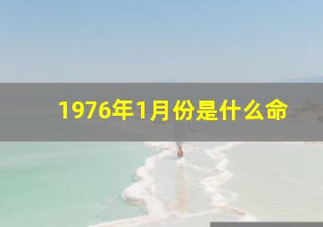 1976年1月份是什么命