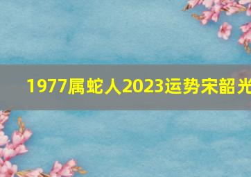 1977属蛇人2023运势宋韶光