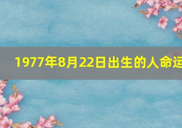 1977年8月22日出生的人命运