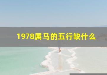 1978属马的五行缺什么