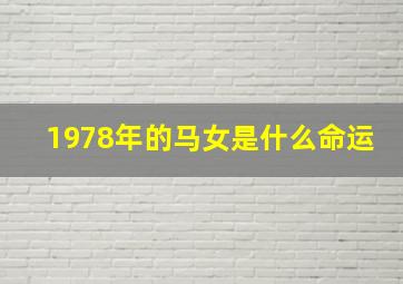 1978年的马女是什么命运