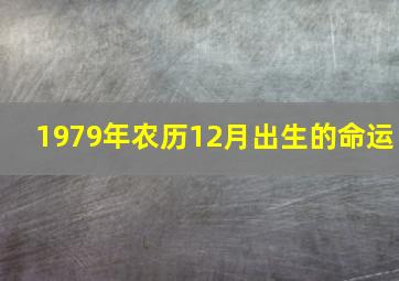 1979年农历12月出生的命运