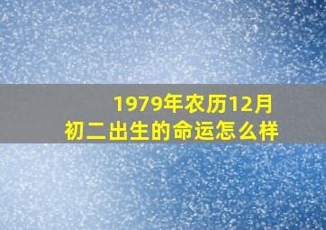 1979年农历12月初二出生的命运怎么样