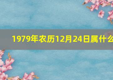 1979年农历12月24日属什么