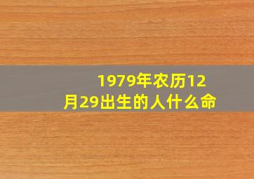 1979年农历12月29出生的人什么命