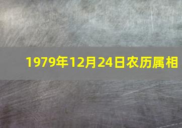 1979年12月24日农历属相