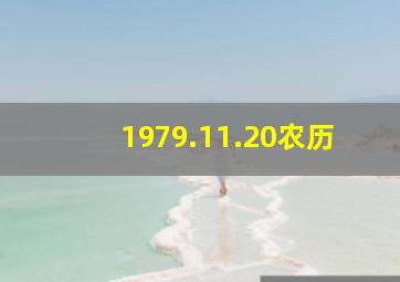 1979.11.20农历