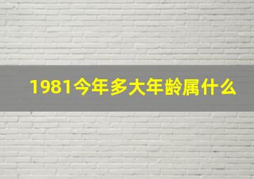 1981今年多大年龄属什么