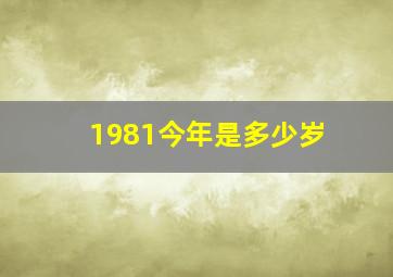 1981今年是多少岁